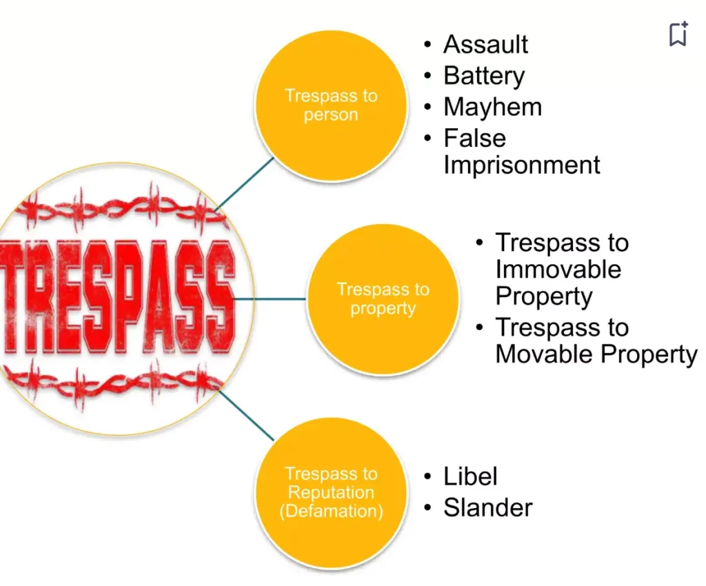 trespass in tort