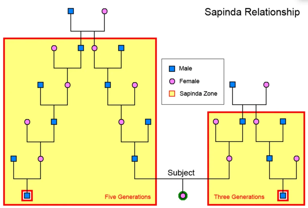 sapinda